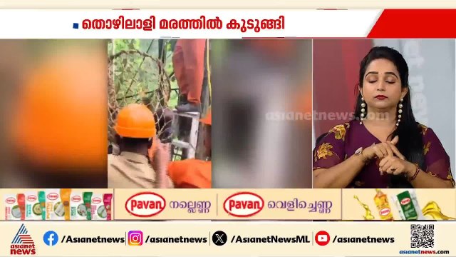 കൂടരഞ്ഞിയിൽ മരം വെട്ടുന്നതിനിടെ തൊഴിലാളി മരത്തിൽ കുടുങ്ങി; ഫയർഫോഴ്‌സ് എത്തി രക്ഷപ്പെടുത്തി
