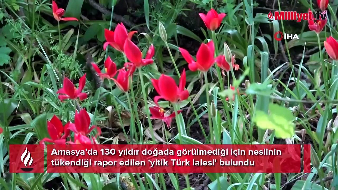 Konumu sır gibi saklanıyor! Türkiye'de 130 yıldır kimse bulamadı: Bana denk geldi