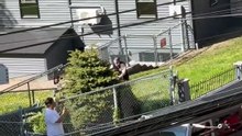 Il tond sa pelouse en regardant la maison du voisin bruler