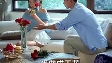 【红果短剧合集】 前尘如烟散，新梦似潮生（60集）邹漪琳＆梅洋