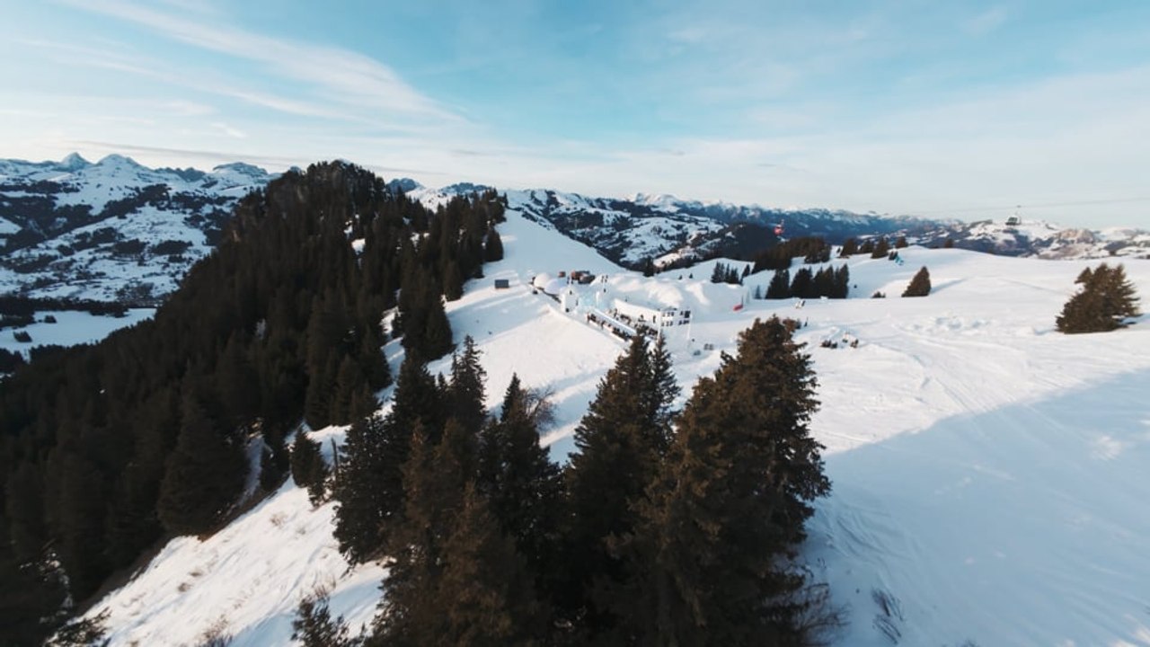 A1