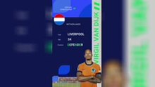 Virgil van Dijk - World Cup Star Player
