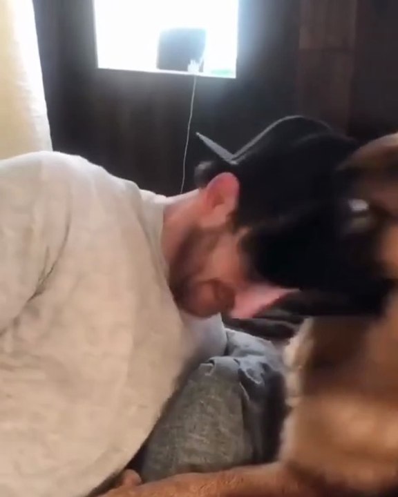 😂😂😂😂🐶funny German Shepherd dogs😍😍😍😍folow me please