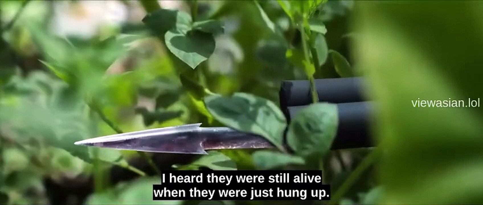 Archives- The Nanyang Mystery Episode 3 | English Sub