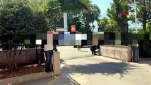 Muğla\'da Daltonlar ve Casperlar çetesine operasyon! Çok sayıda gözaltı var!