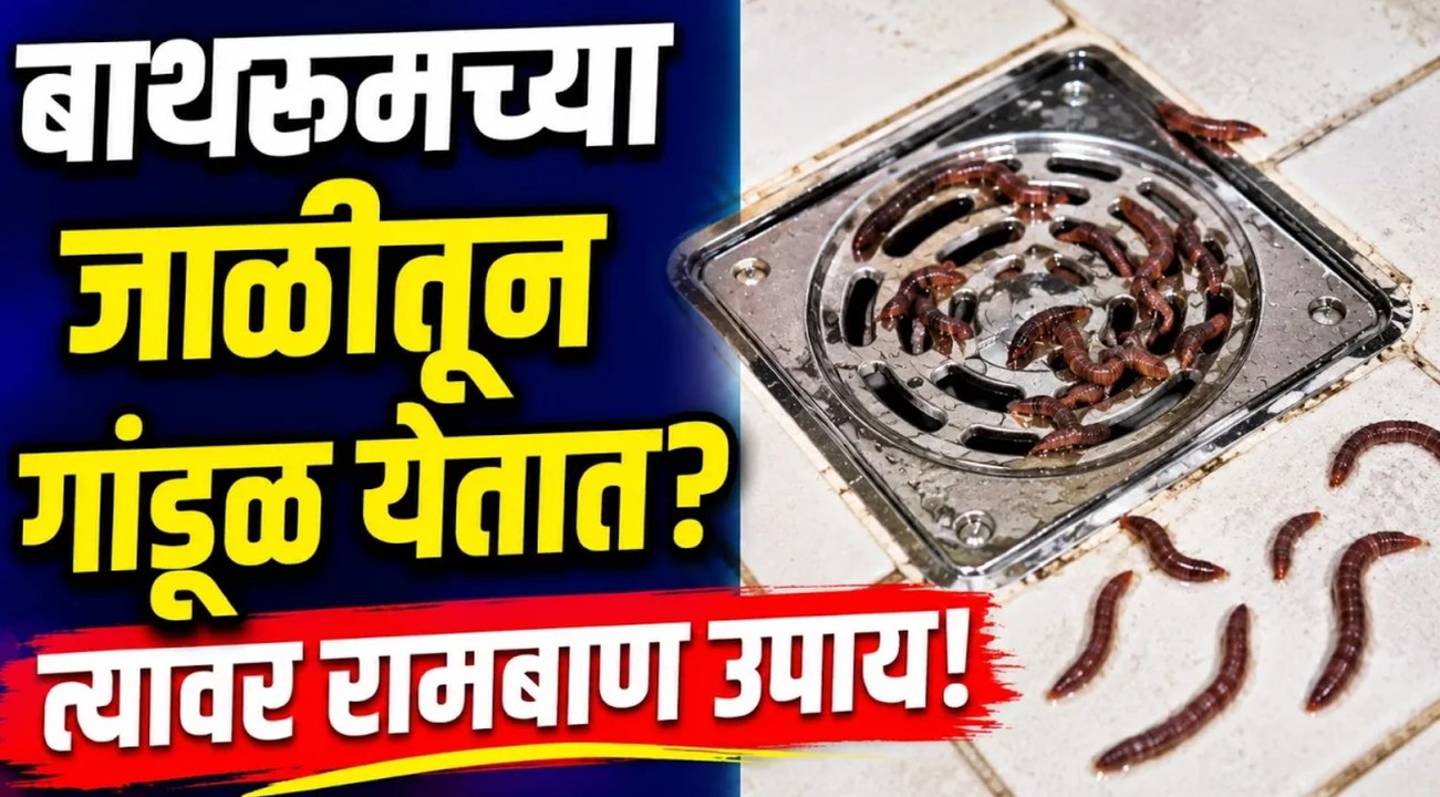 बाथरूममध्ये गांडुळे येतात? त्यावर रामबाण उपाय! | Bathroom Tips