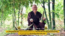 (Q9) Bài 245 I HAI CÂU HỎI CỦA MỘT PHỤ NỮ DA MÀU I Tác giả & Diễn đọc - Hòa thượng THÍCH CHÂN TÍNH