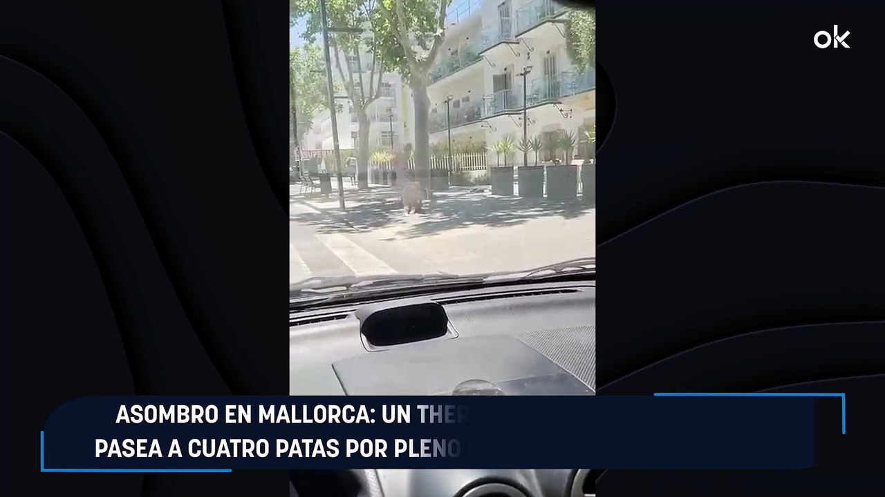 Asombro en Mallorca: un therian desnudo y con correa pasea a cuatro patas por pleno centro turístico de Alcúdia