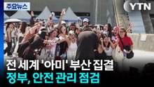 전 세계 '아미' 다시 부산에 모였다!...마지막까지 안전 점검 / YTN