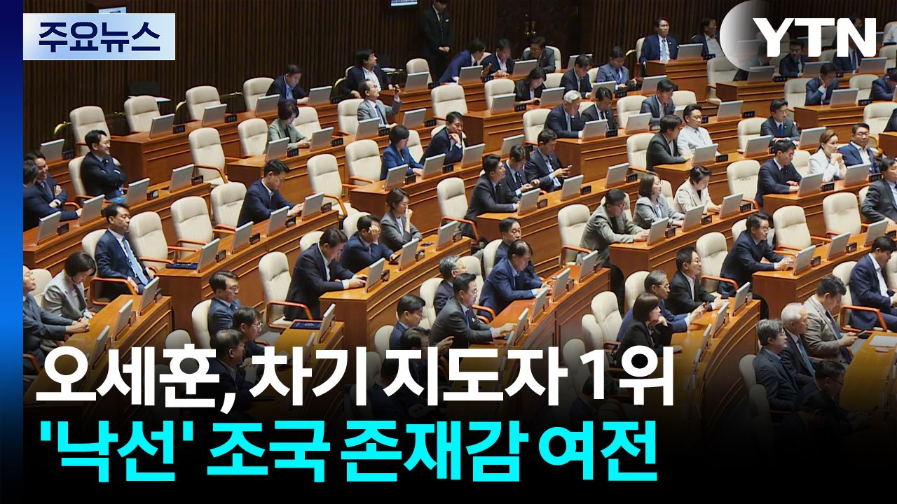 오세훈-한동훈 뜨고 조국 '굳건'...차기 지도자는? / YTN