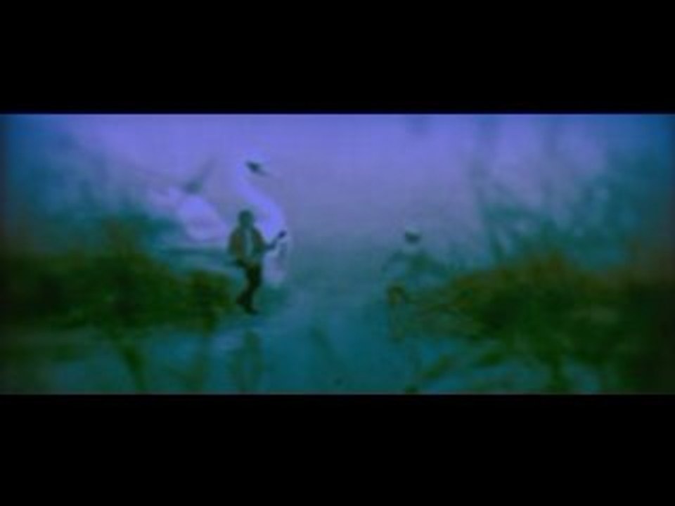 Moto boy - Ride my wild heart