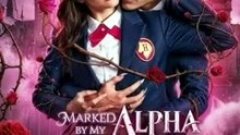 Marked by My Alpha Stepbrother 〔 DramaWave 〕 Taboo Full Episode
