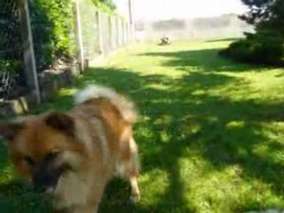 Vidéo louna