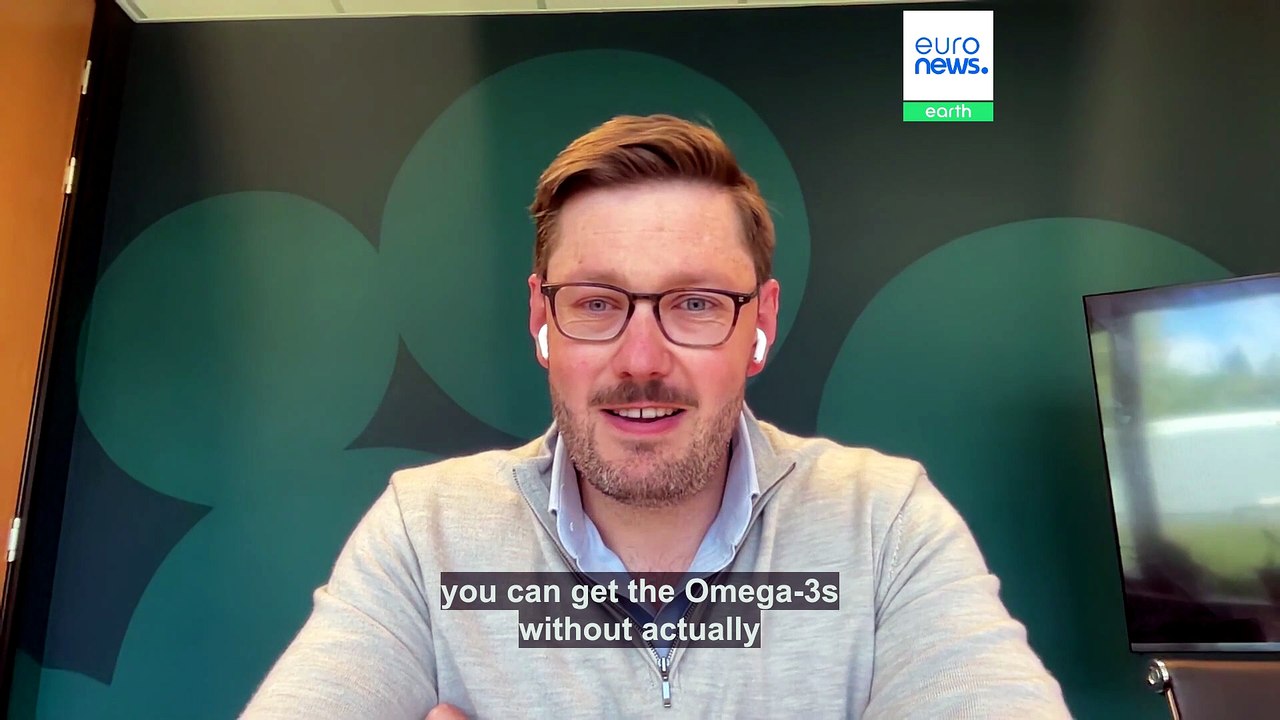 This Scottish startup saves wild fish by replacing them with Omega-3 algae fed on whisky waste
