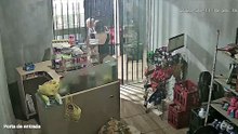 Vídeo mostra momento em que menina de 3 anos é atacada por dois pitbulls e perde a consciência