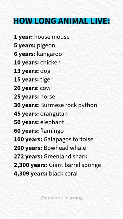 Bird Lifespans: How Long Do Different Birds Live?