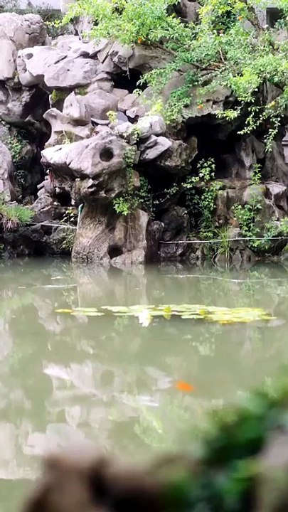 Su prometido, mi alma gemela | Serie Completa | Short Drama Español