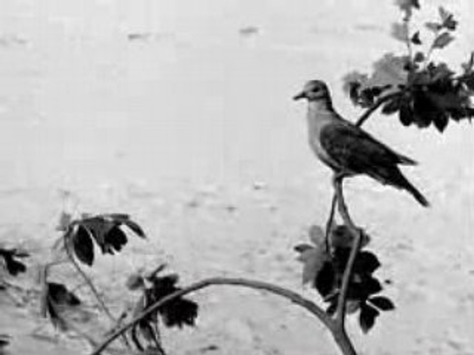 EN CHEMIN_EXTRAIT_1