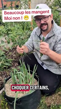 Feuilles de Poireaux : Beaucoup les mangent : Moi non ! #potager #jardinage #poireau #paillage #com