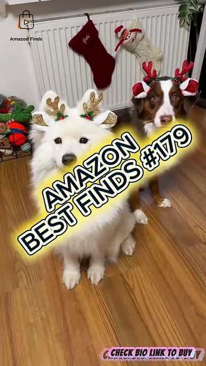 These Reindeer Dogs are the Holiday Mood We All Needed! 🎁🐾