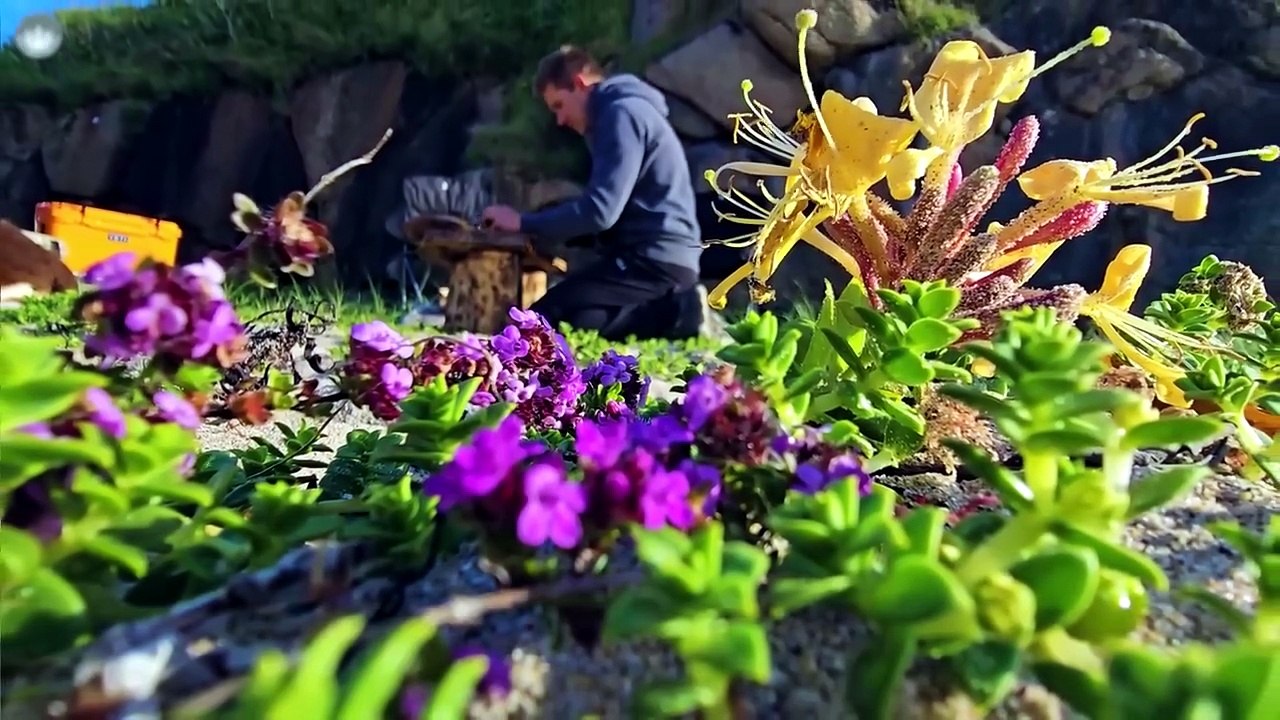 Men With the Pot Season 1 Episode 6 Full Episode HD Online
