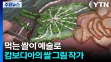 '먹는 쌀이 예술로'...캄보디아의 쌀 그림 작가 / YTN