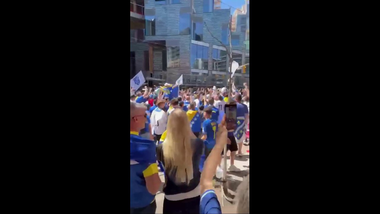 Bosnia Fans