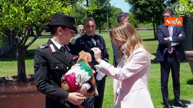 Meloni 'saluta' il cane Briciola, mascotte dei Carabinieri