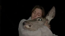 Touching Encounter: Woman Embraces a Deer Beneath the Starry Night