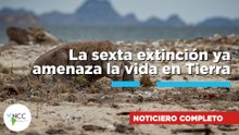 La sexta extinción ya amenaza la vida en la Tierra | 873 | 15 a 21 de junio de 2026