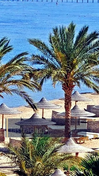 Prezentacja Paradise Club Shoni Bay w Egipcie
