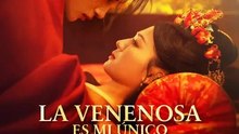 La venenosa es mi único antídoto | Serie Completa | Short Drama Español