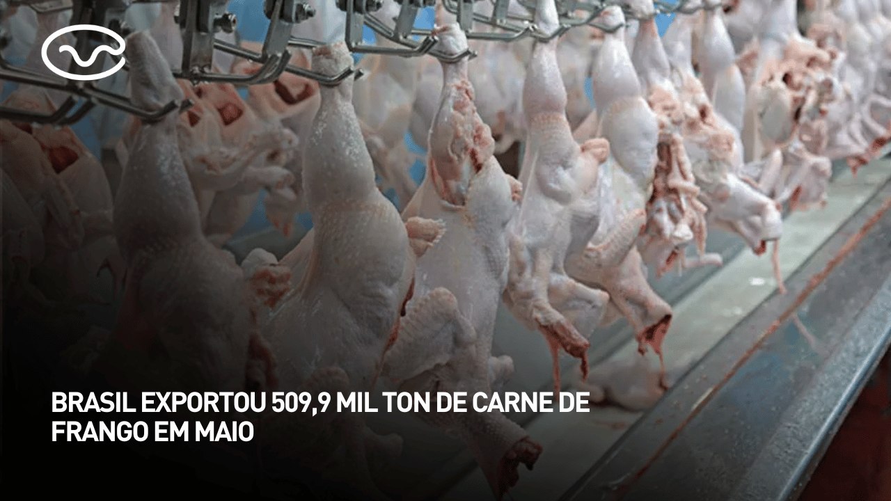 Brasil exportou 509,9 mil toneladas de carne de frango em maio