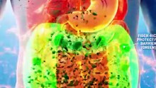 Diabetes Diet Explained What to Eat, What to Avoid + Simple Meal Guide