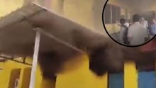 Keshkal College Fire: परीक्षा के बीच कॉलेज में शॉर्ट सर्किट से लगी आग! केशकाल कॉलेज में हुआ बड़ा हादसा, देखें Video