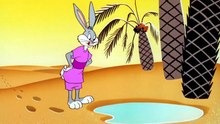 Pernalonga, Eufrazino e Patolino - Coelho do Deserto
