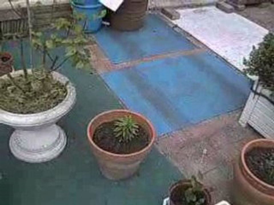 Ma_terrasse_1