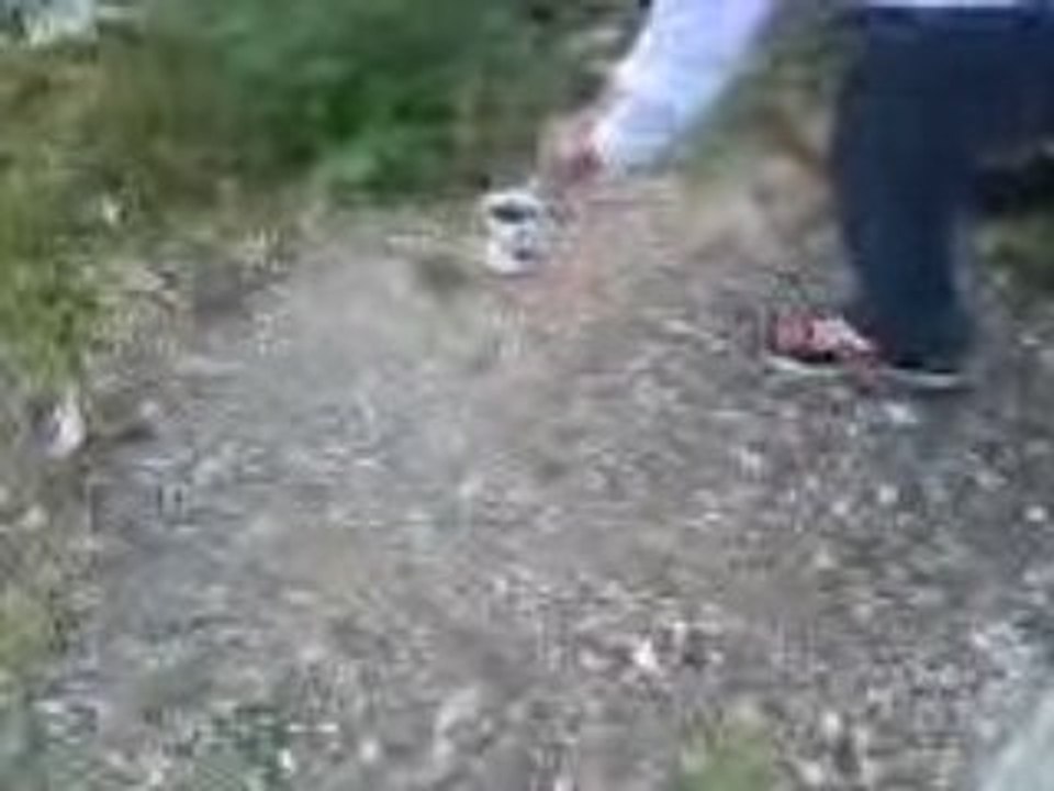 Coca mentos pas marché x)