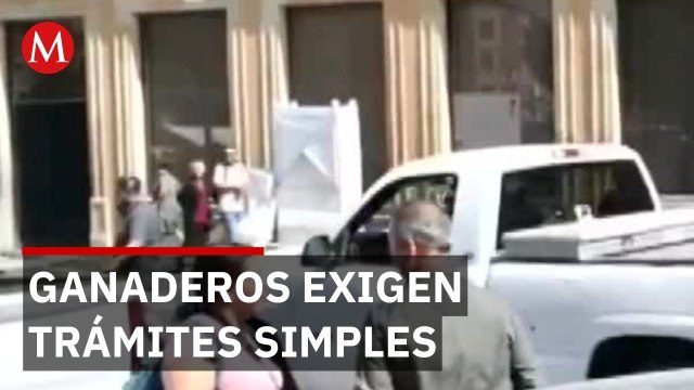 Gobierno exige trámites digitales a ganaderos sin Internet ni computadoras en sus granjas