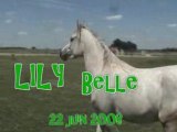 Lily juin 08