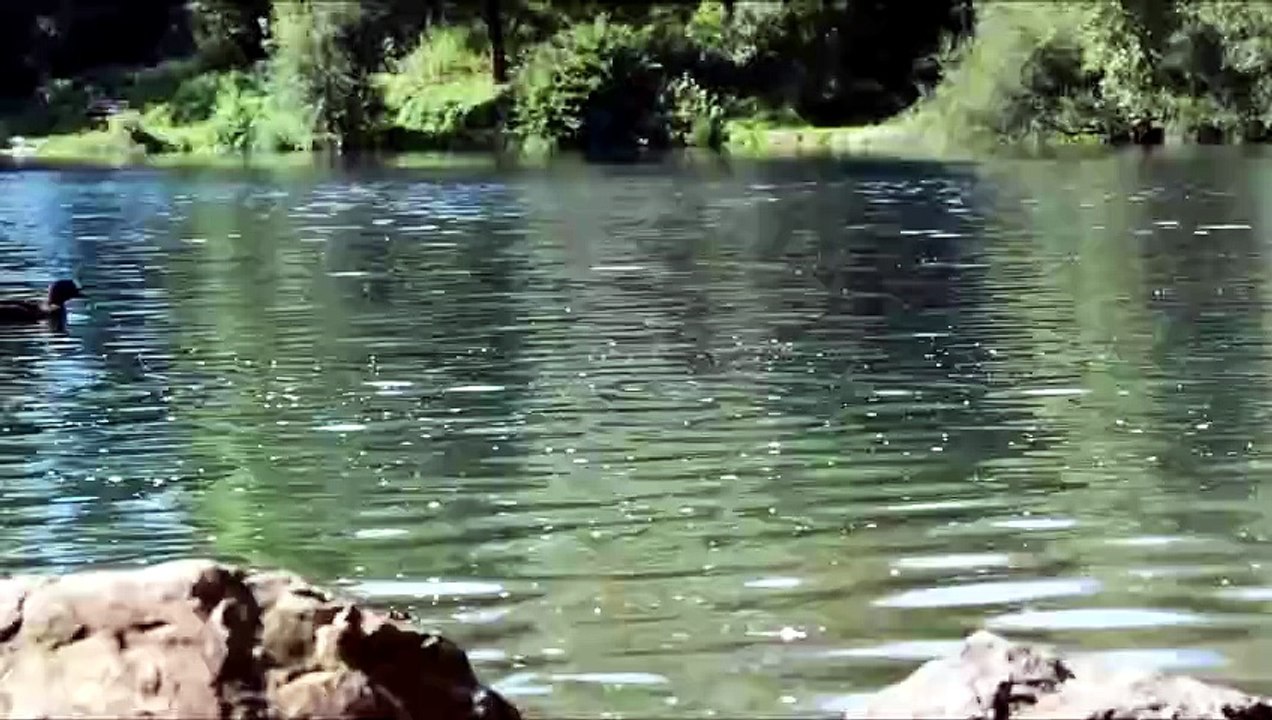 Calm and Beautiful Instrumental Music