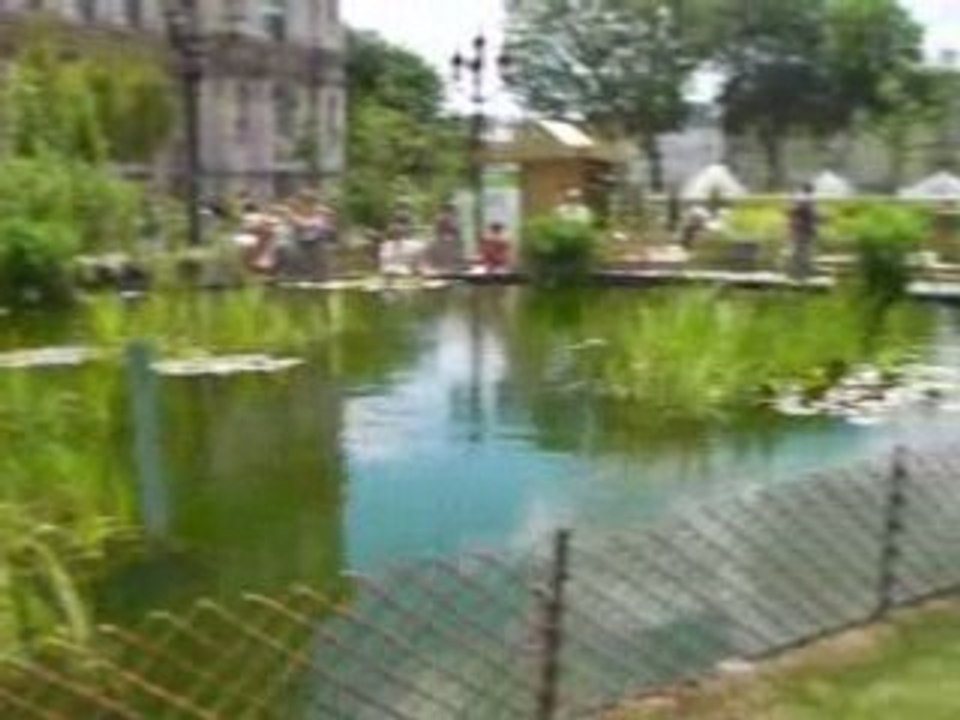 Jardin ephemere