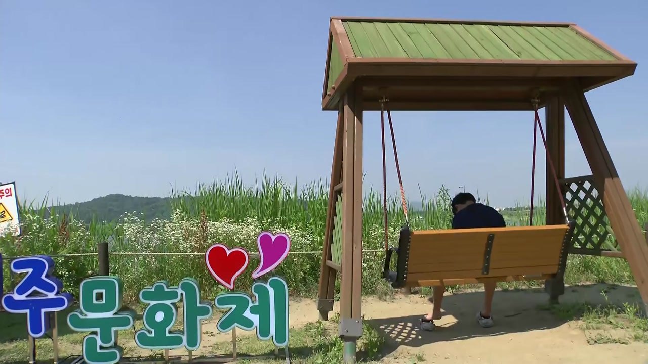 [날씨] 오늘, 7월 하순 한여름 날씨...이색 문화 축제 열려 / YTN