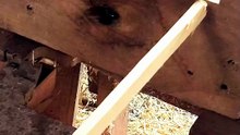 Dowel kayu