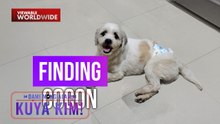 Shih Tzu, aksidenteng nahulog sa bumabiyaheng sasakyan! | Dami Mong Alam, Kuya Kim!