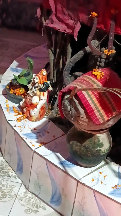 🕉️ যে শিব দর্শনে চোখ ভিজে যায়  জয় মহাদেব,Lord Shiva