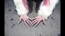 Studio Killers - All Men Are Pigs (2013)