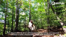 Man Builds A SECRET Cliff SHELTER Under HUGE Rock  Relaxing ASMR luxonbushcraft