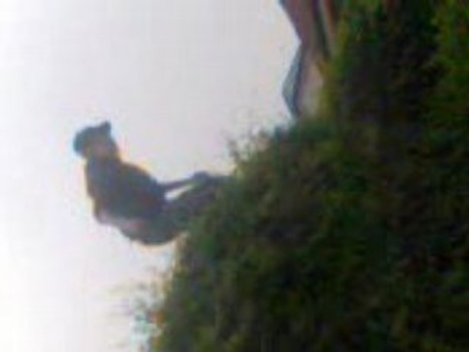 Aie