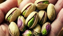 فوائد الفستق المذهلة  ماذا يحدث لجسمك عند تناول الفستق يوميًا؟
